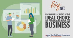 sva-certified-public-accountants-biz-tips-reasons-an-llc-might-be-the-ideal-choice-for-your-small-to-medium-size-business