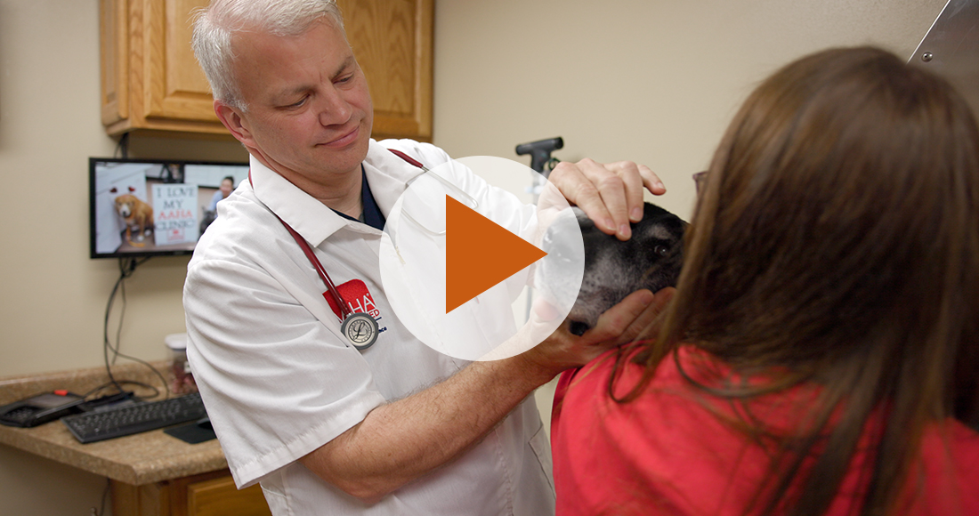 Country Hills Pet Hospital