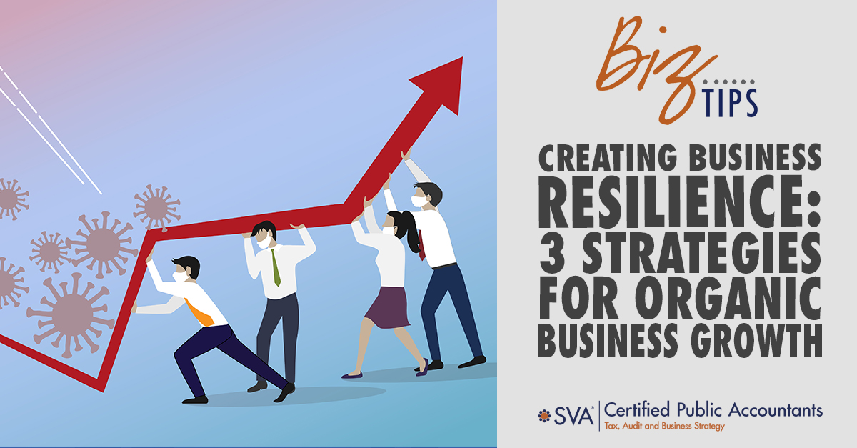 Creating Business Resilience: 3 Strategies for Organic Business Growth