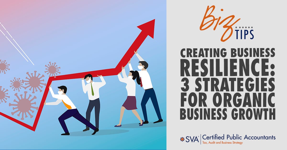 Creating Business Resilience: 3 Strategies for Organic Business Growth