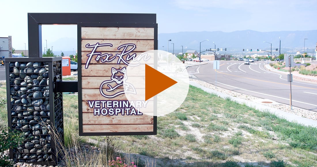 Financial Clarity and Confidence for Vet Hospital