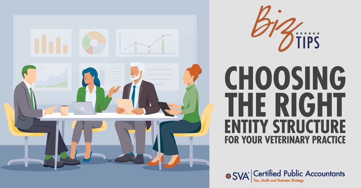 Choosing the Right Entity Structure for Your Veterinary Practice