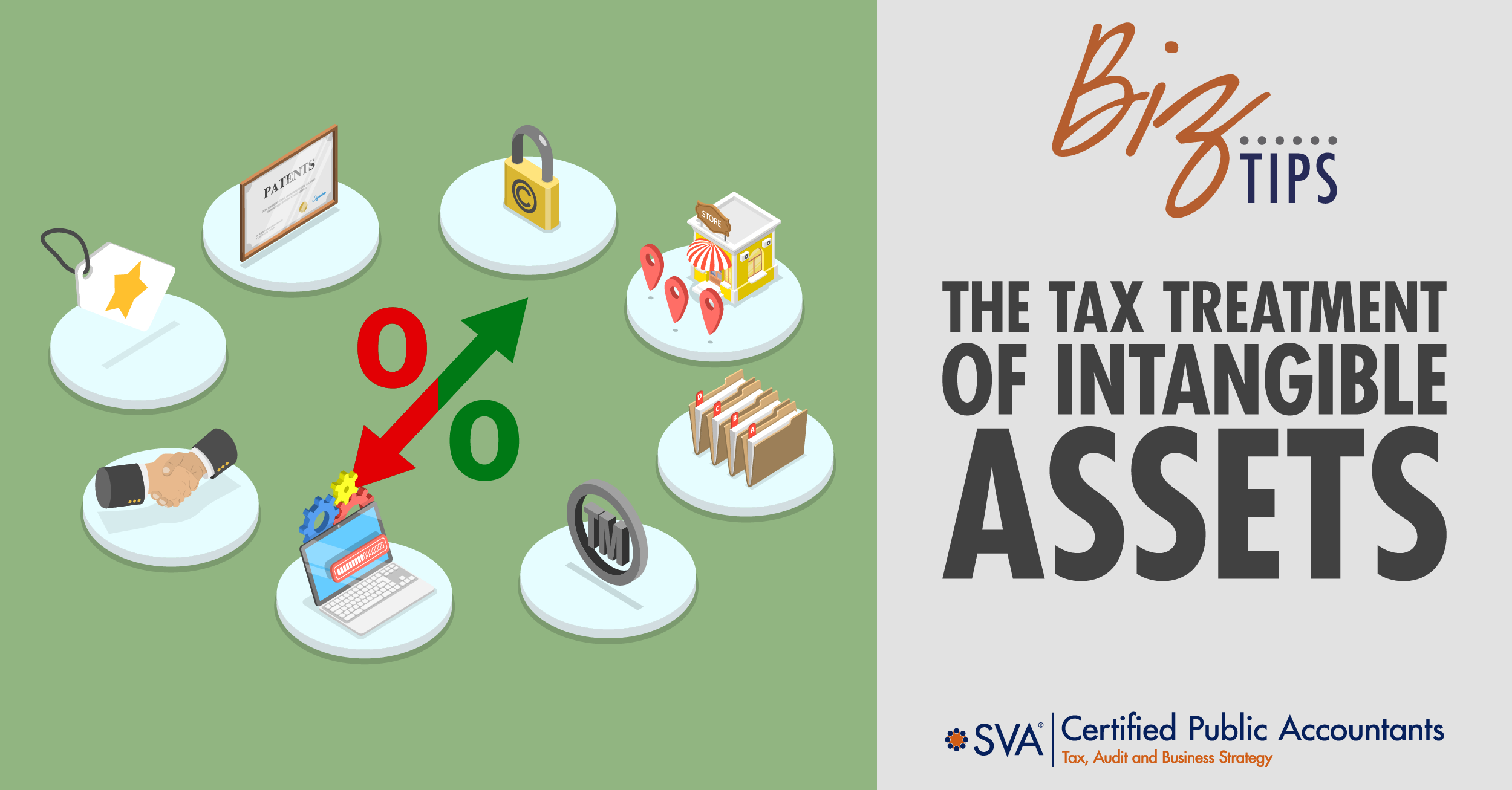 The Tax Treatment of Intangible Assets