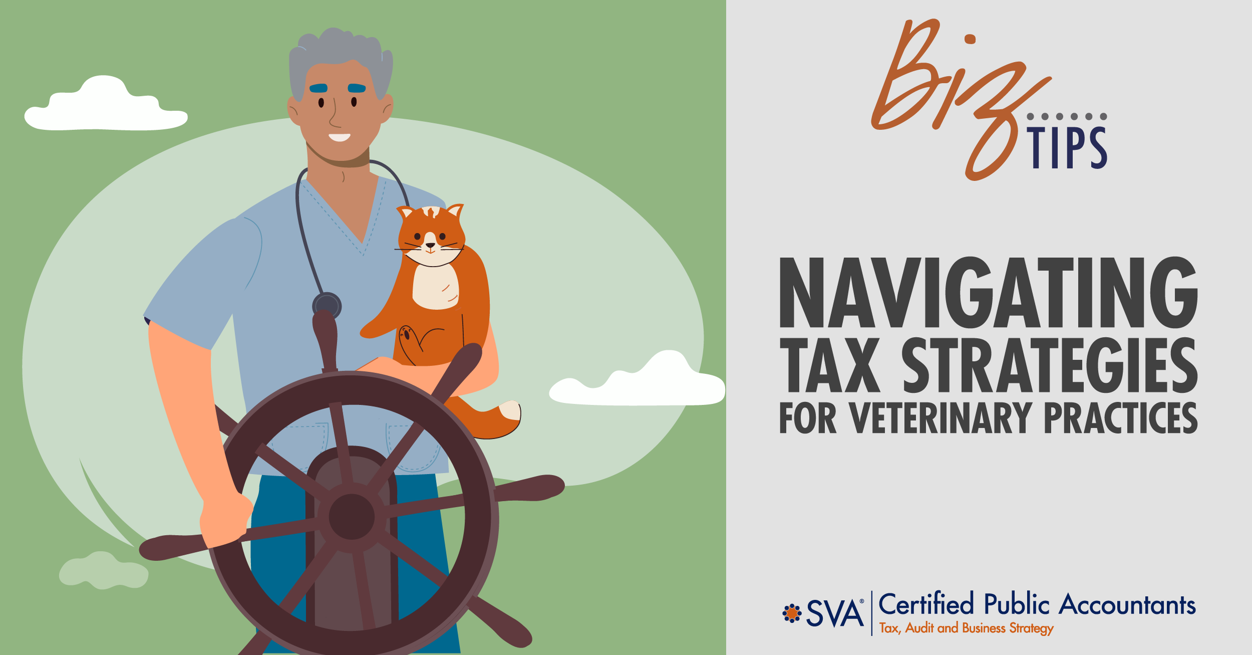 Navigating Tax Strategies for Veterinary Practices: Understanding Wisconsin PTE, S Corporation Conversion, and Sales Tax