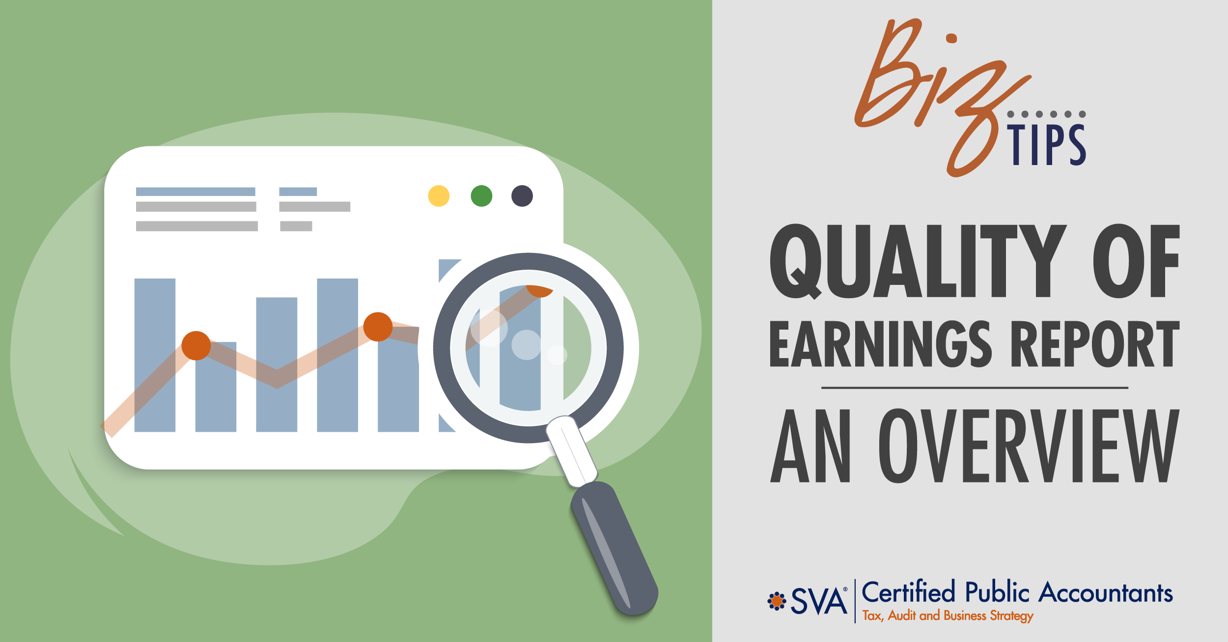 Quality of Earnings Report: An Overview